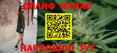 мдпв Моздок