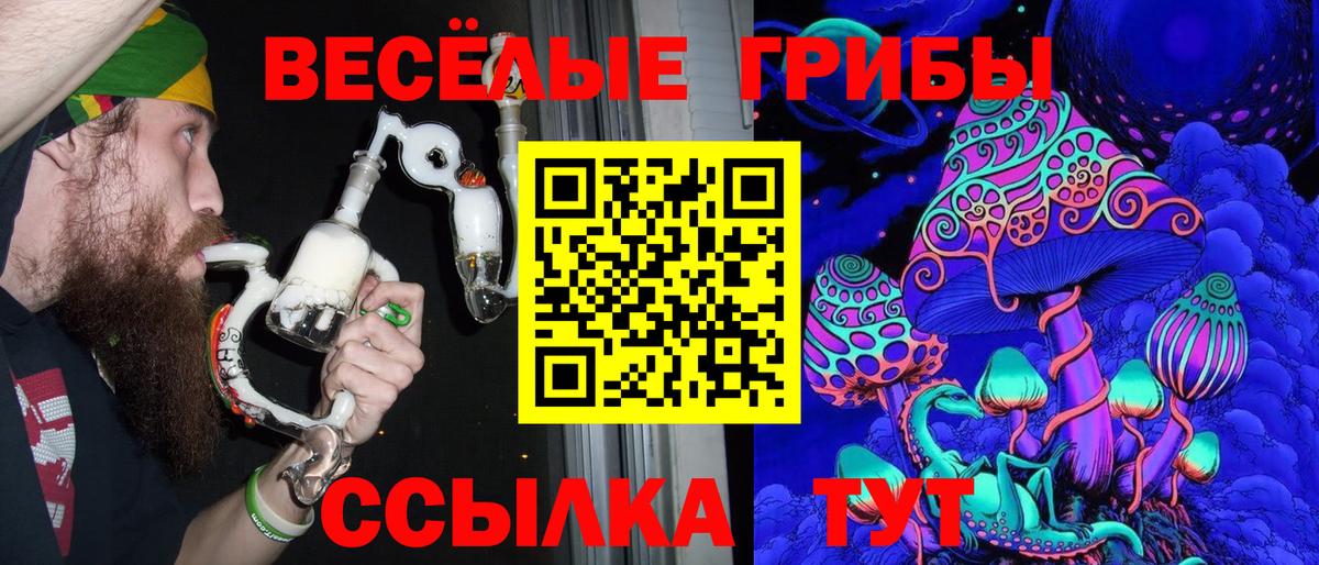 Сланцы  Псилоцибиновые грибы MAGIC MUSHROOMS  Вход с VPN 