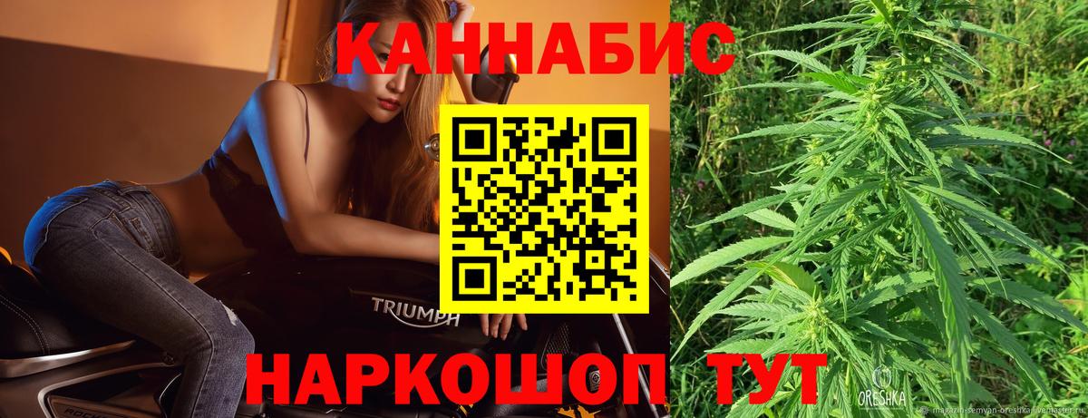 Каннабис индика Сланцы